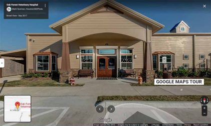 Google 360 Virtual Tour without interactive features